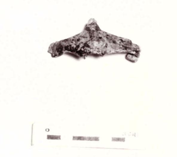 fibula - Piceno IV B (seconda metà sec. VI a. C)