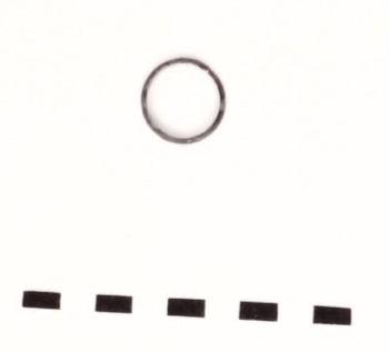 anello - Piceno IV B (seconda metà sec. VI)