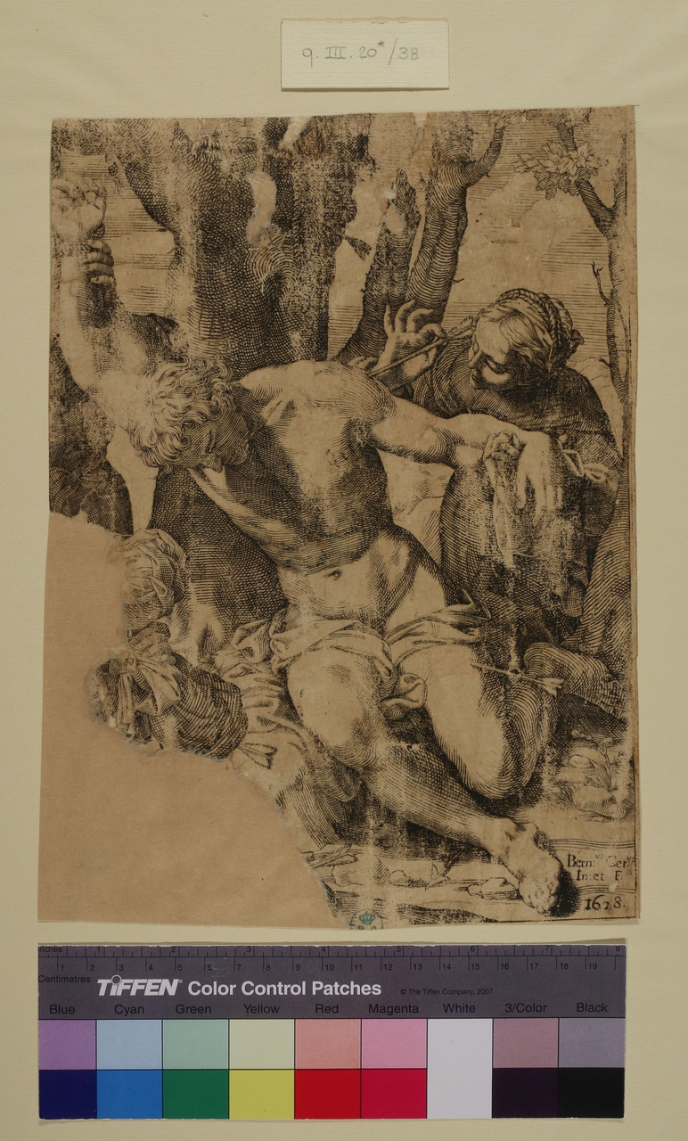 San Sebastiano, San Sebastiano (stampa smarginata) di Bernardo Cervi (secondo quarto sec. XVII)