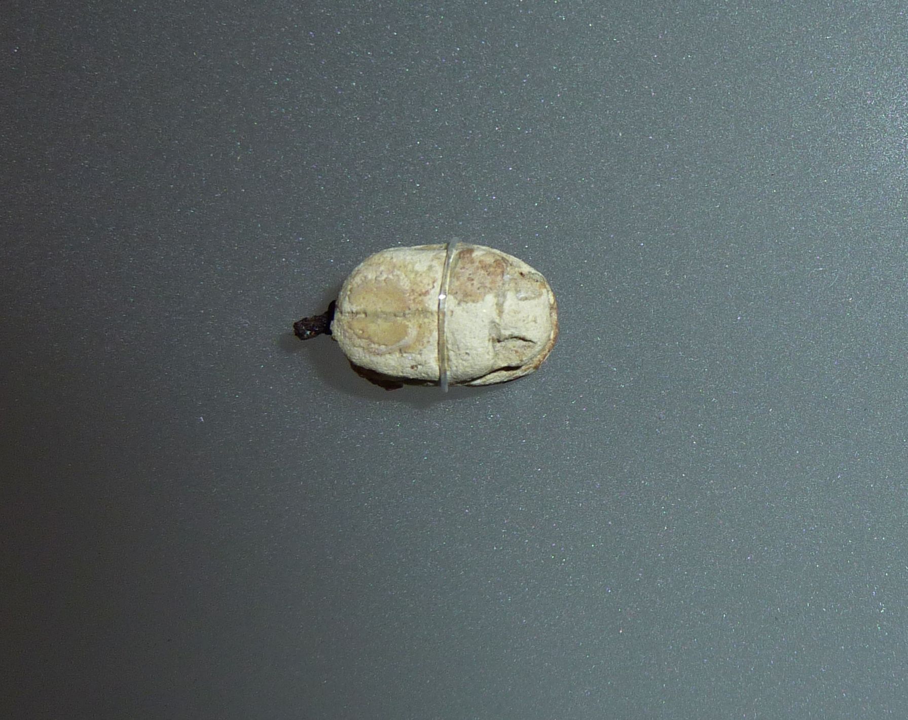 scarabeo (VII sec. a.C./ VI sec. a.C)