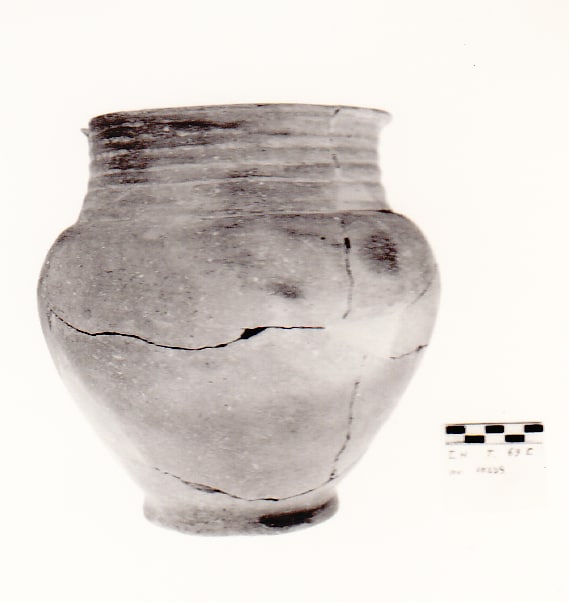 olla - Cultura Ligure della Prima Età del Ferro (VII a.C)