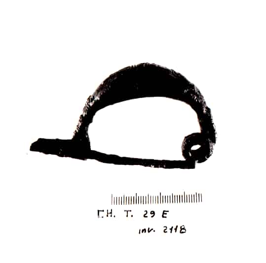 fibula - Cultura Ligure della Prima Età del Ferro (VII a.C)