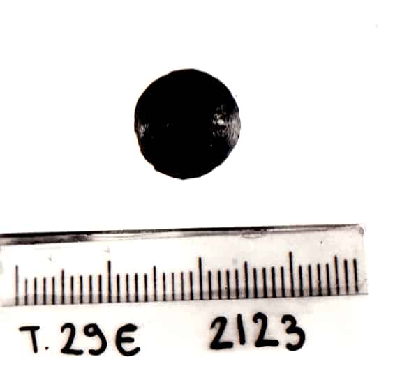 bottone - Cultura Ligure della Prima Età del Ferro (VII a.C)