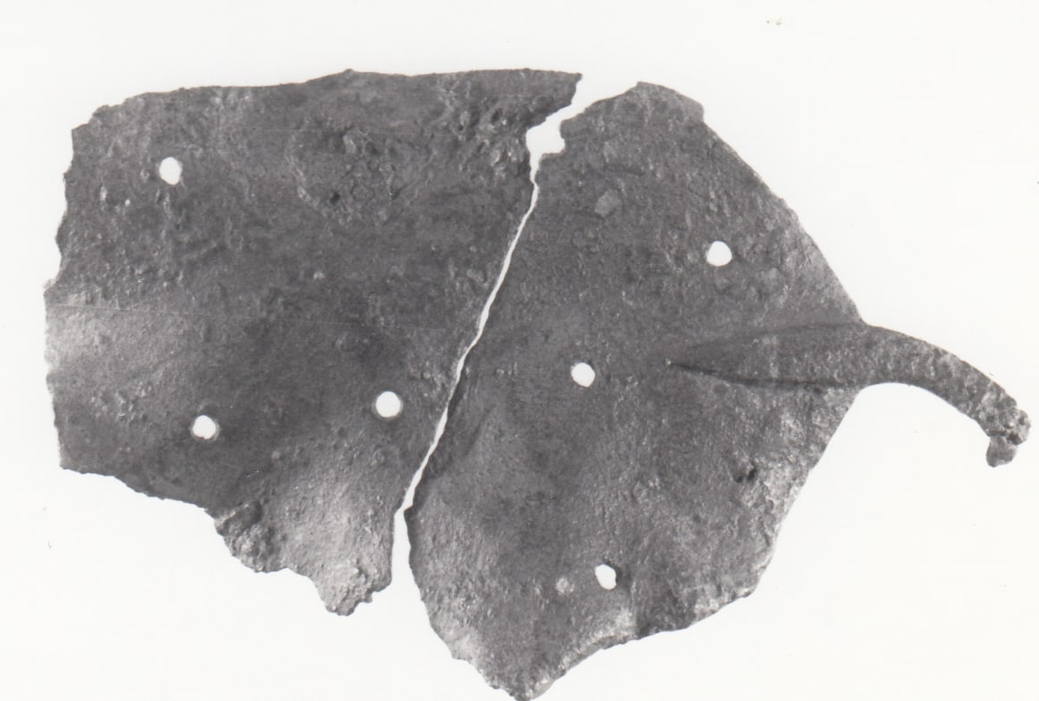 fibbia - cultura ligure della prima età del Ferro (VII a.C)