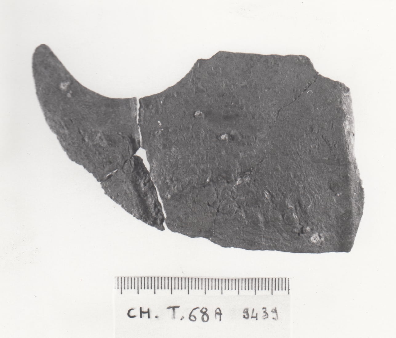rasoio - cultura ligure della prima età del Ferro (VII a.C)