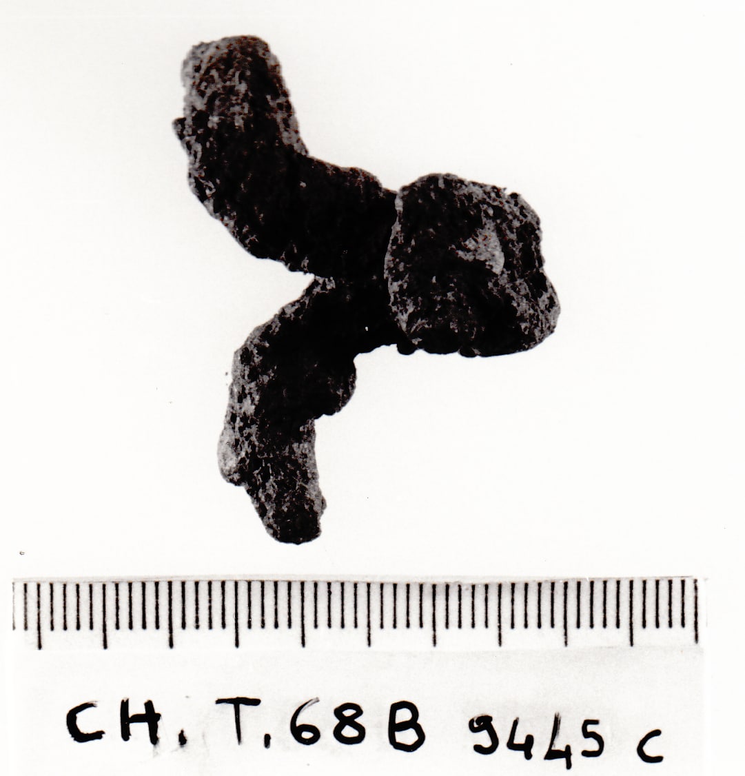 gancio di cintura - cultura ligure della prima età del Ferro (VII a.C)