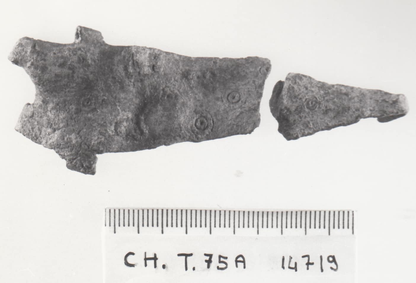 fermaglio di cintura - cultura ligure della prima età del Ferro (VII a.C)