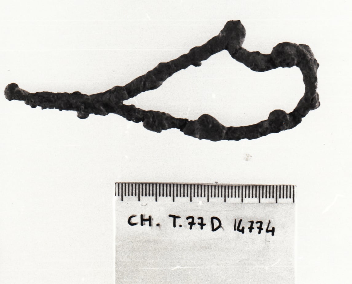 fibula serpeggiante - cultura ligure della prima età del Ferro (VII a.C)