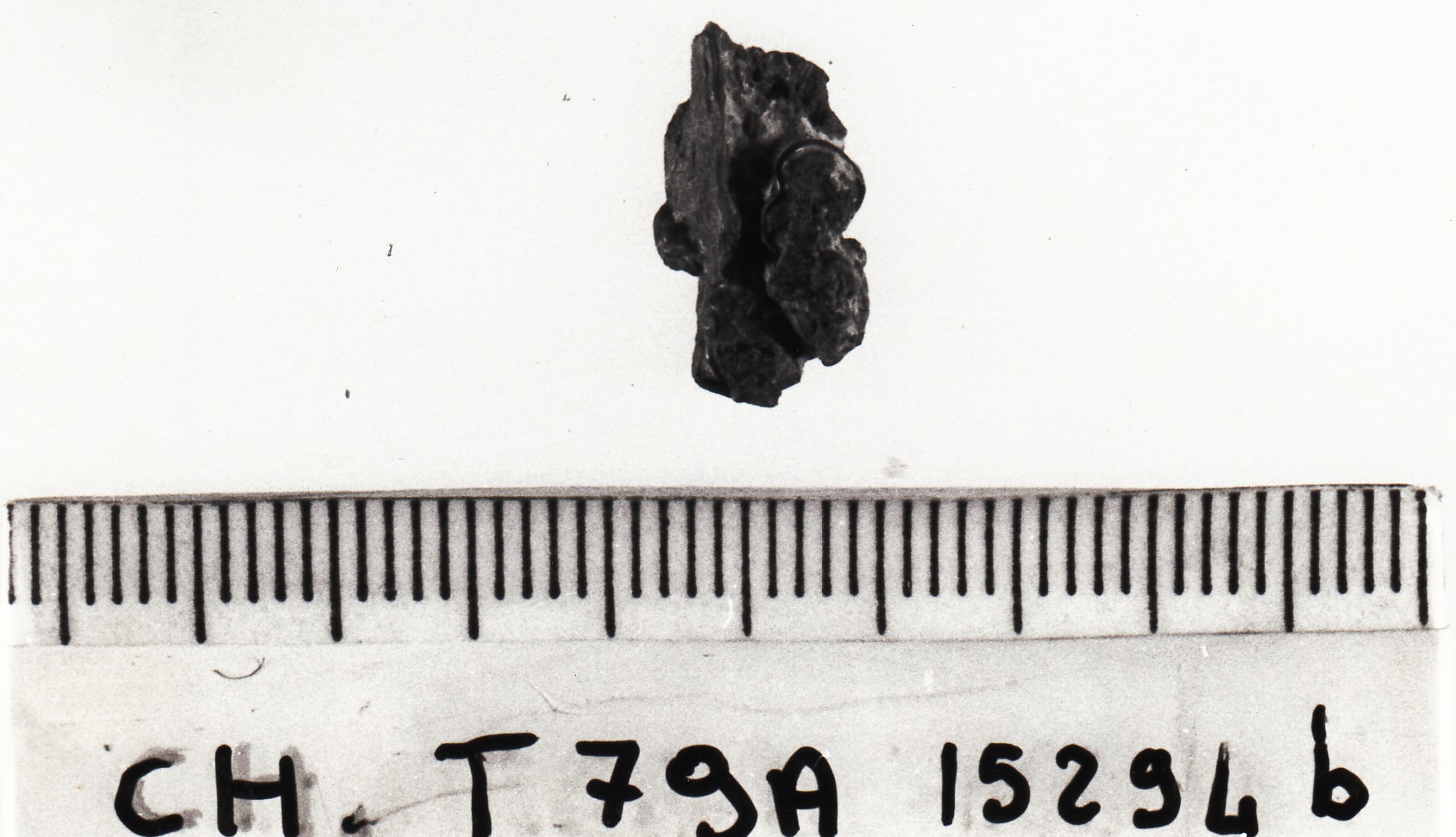 frammento non identificabile - cultura ligure della prima età del Ferro (VII a.C)