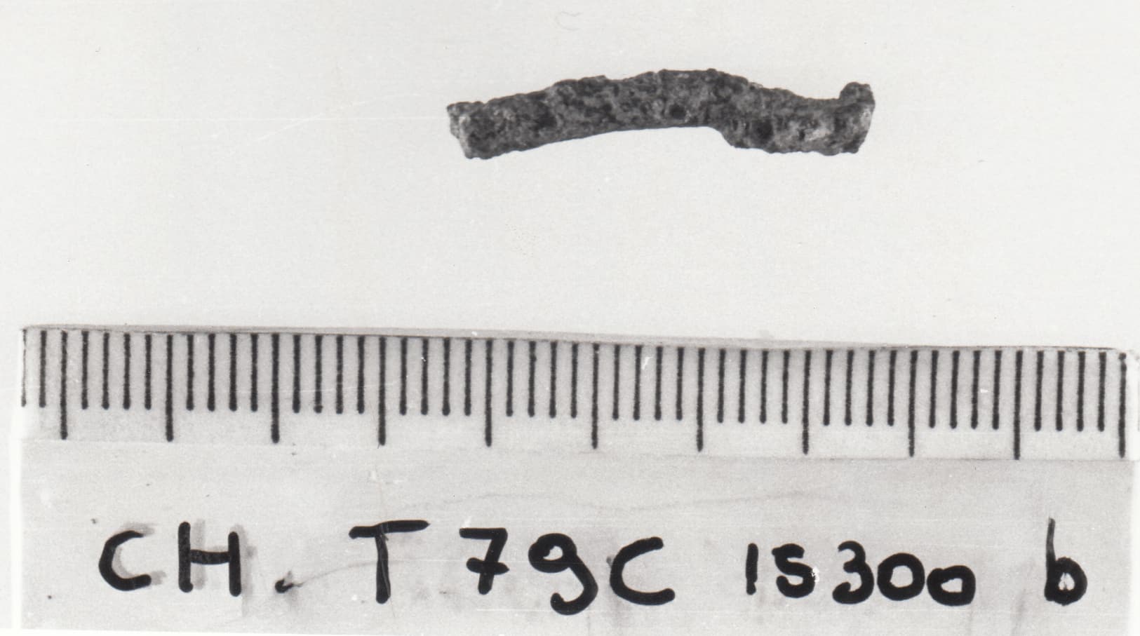 fibula/frammento - cultura ligure della prima età del Ferro (VII a.C)