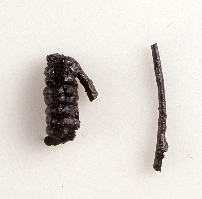 fibula, Dormelletto tipo 4 - ambito insubre (fine/ inizio II-I a.C)