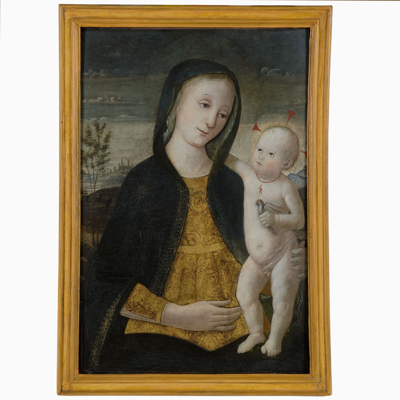 Madonna con Bambino (dipinto) di Fungai Bernardino (sec. XVI)