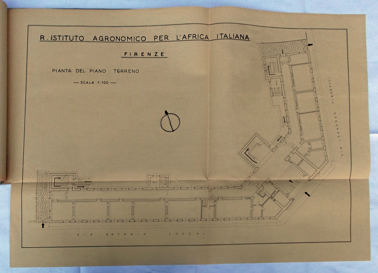 pianta del piano terreno del Regio Istituto Agronomico (disegno architettonico) di Tofani Dino (sec. XX)