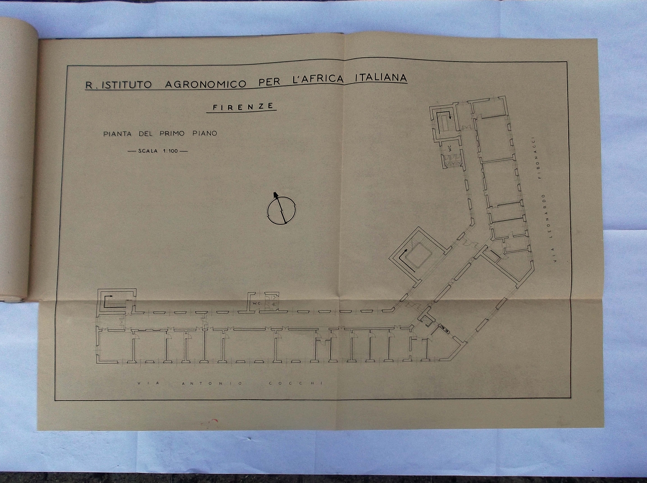 pianta del primo piano del Regio Istituto Agronomico (disegno architettonico) di Tofani Dino (sec. XX)