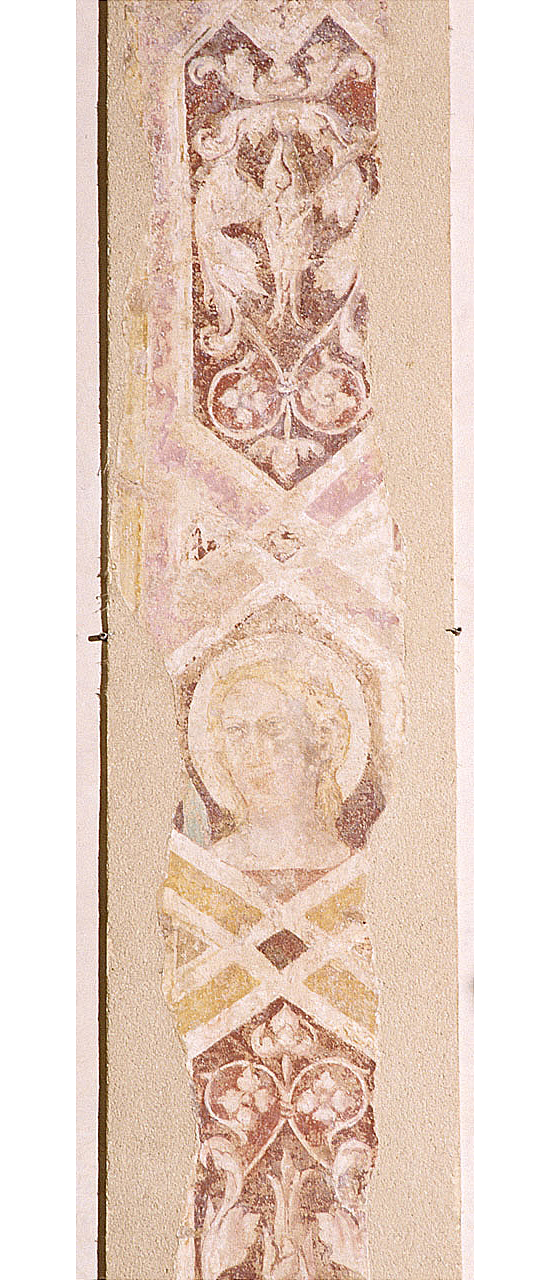 motivi decorativi vegetali e geometrici e testa di Santa (dipinto murale staccato, frammento) di Gaddi Taddeo (secondo quarto sec. XIV)
