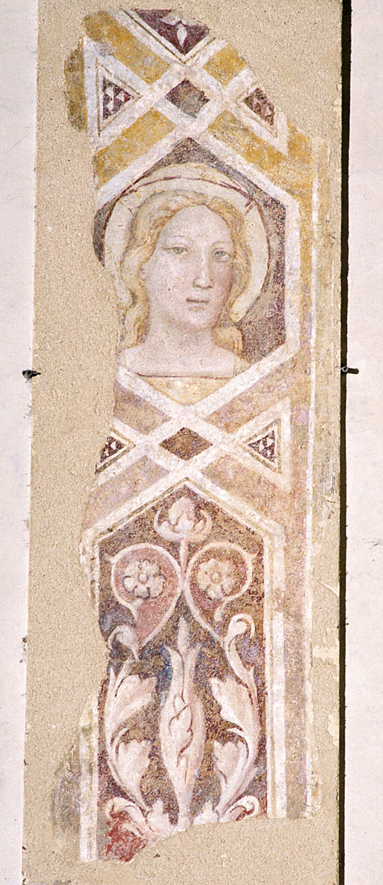 motivi decorativi vegetali e geometricie e testa di santa (dipinto murale staccato, frammento) di Gaddi Taddeo (secondo quarto sec. XIV)