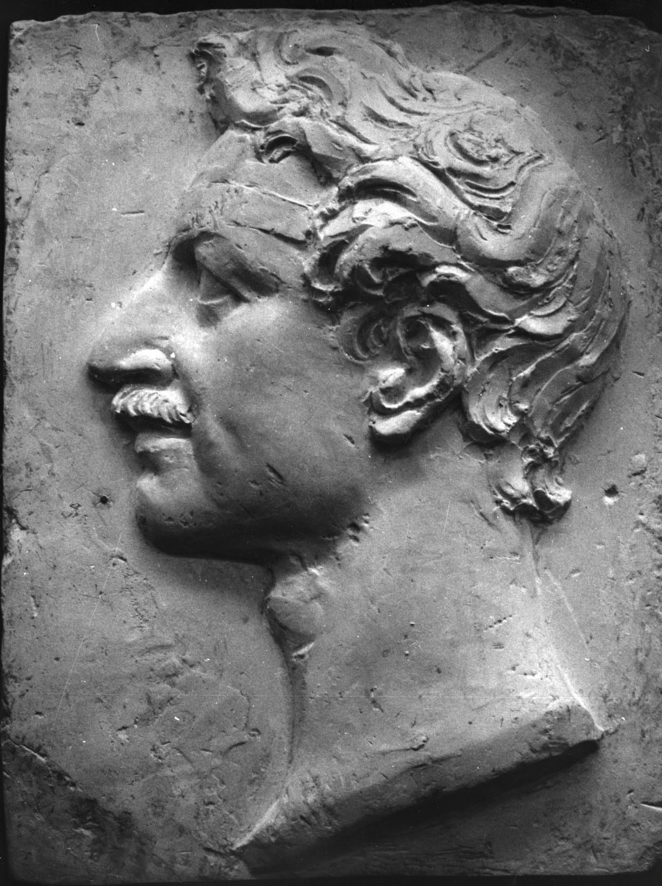 ritratto di Adam Albert di Neipperg di profilo (rilievo, elemento d'insieme) di Bartolini Lorenzo (sec. XIX)