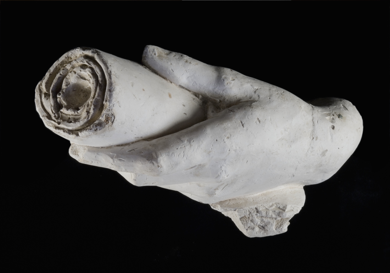 mano con rotolo (modello per scultura, frammento) di Bartolini Lorenzo (sec. XIX)