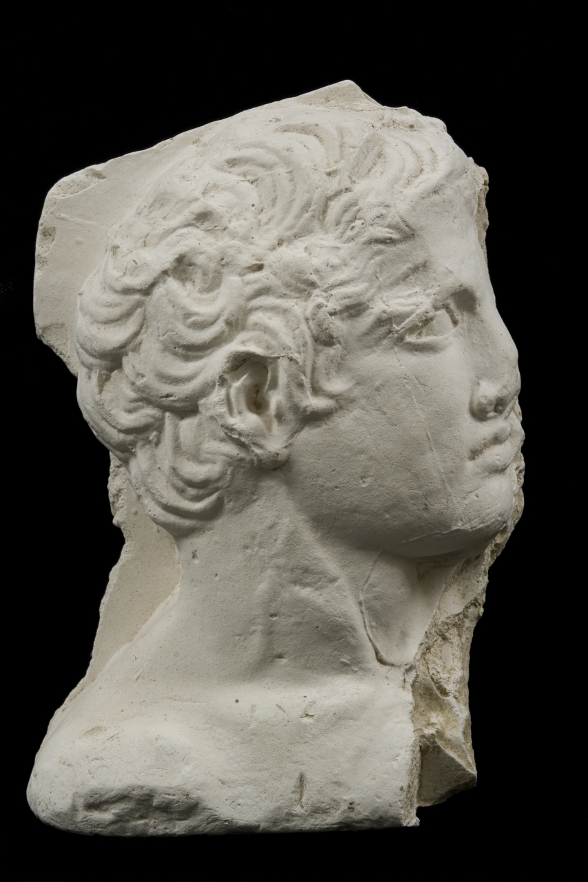 testa di giovane uomo di profilo (calco di scultura) di Bartolini Lorenzo (attribuito) (prima metà sec. XIX)