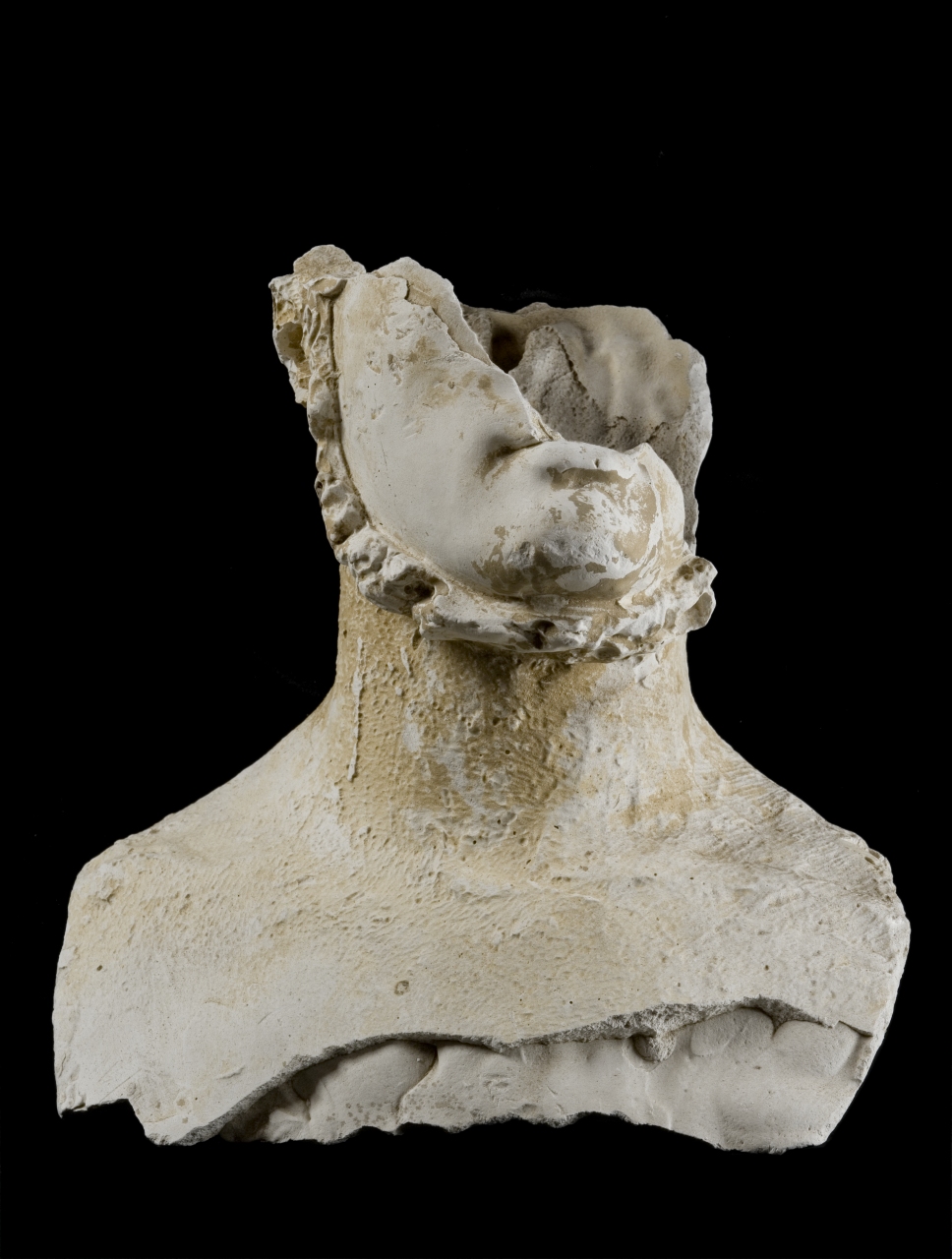 busto maschile all'eroica (modello per scultura, frammento) di Bartolini Lorenzo (sec. XIX)