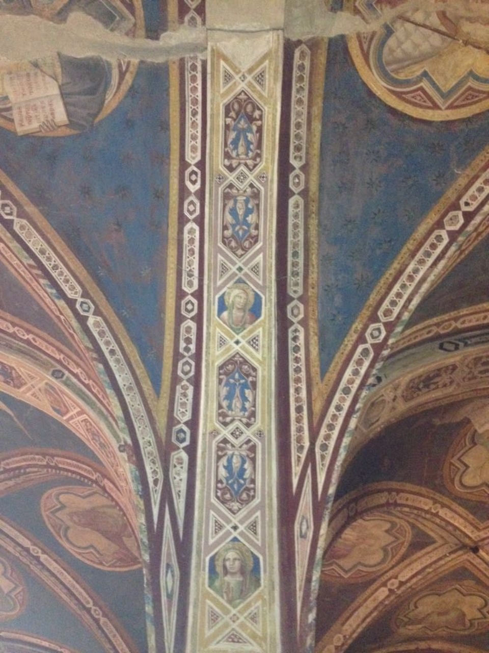 Santa martite, motivi decorativi, stemma gentilizio della famiglia Corbinelli (dipinto murale) di Gaddi Taddeo (secondo quarto sec. XIV)
