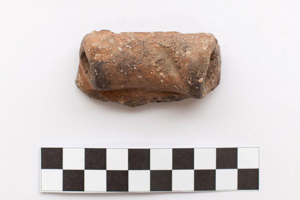 ansa / a rocchetto - Produzione di tipo Diana (Neolitico)