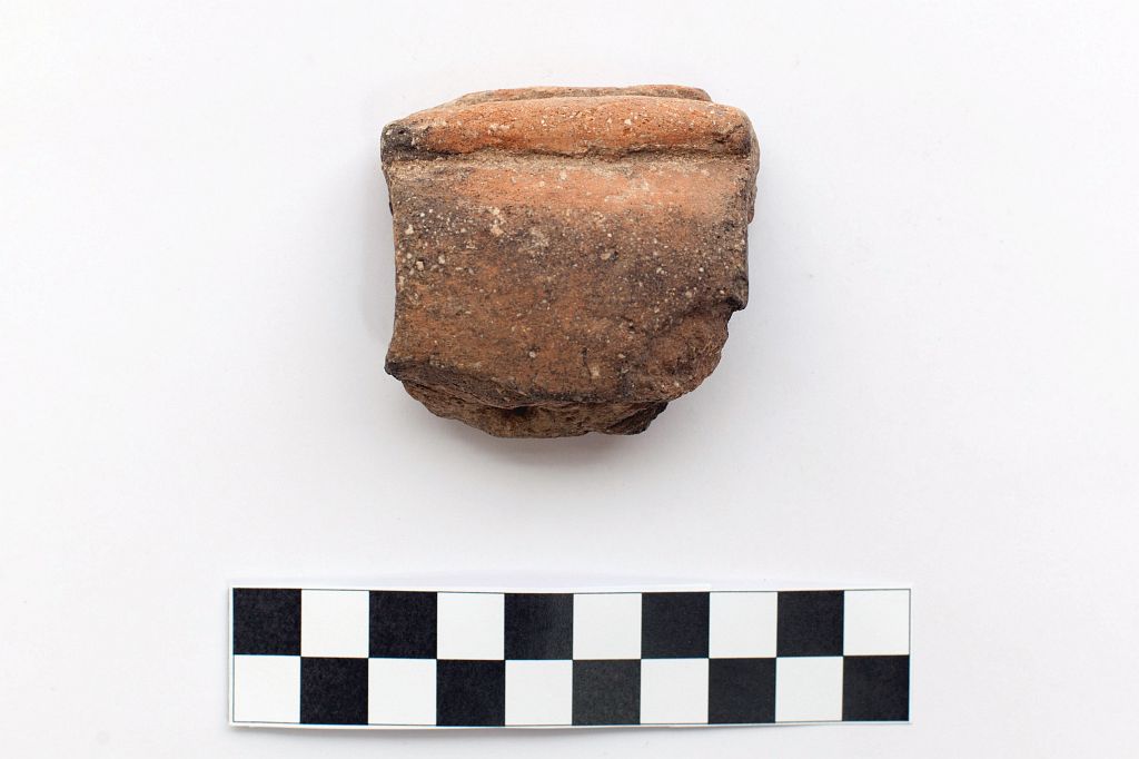 ansa / a rocchetto - Produzione di tipo Serra D’Alto-Diana (Neolitico)