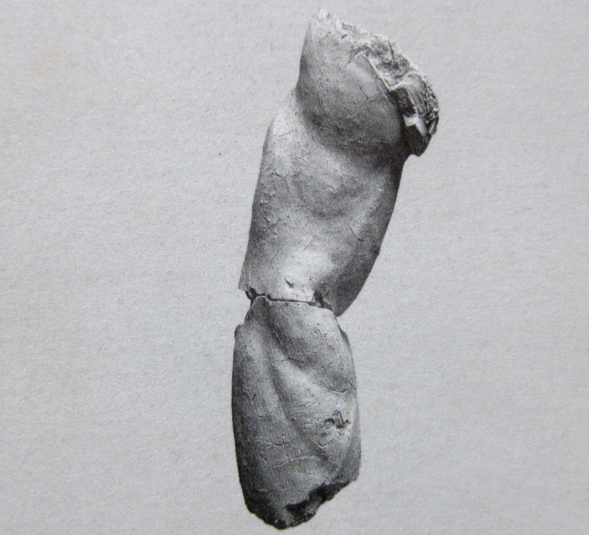 figura maschile (statua/ frontonale, braccio) (metà II a.C)