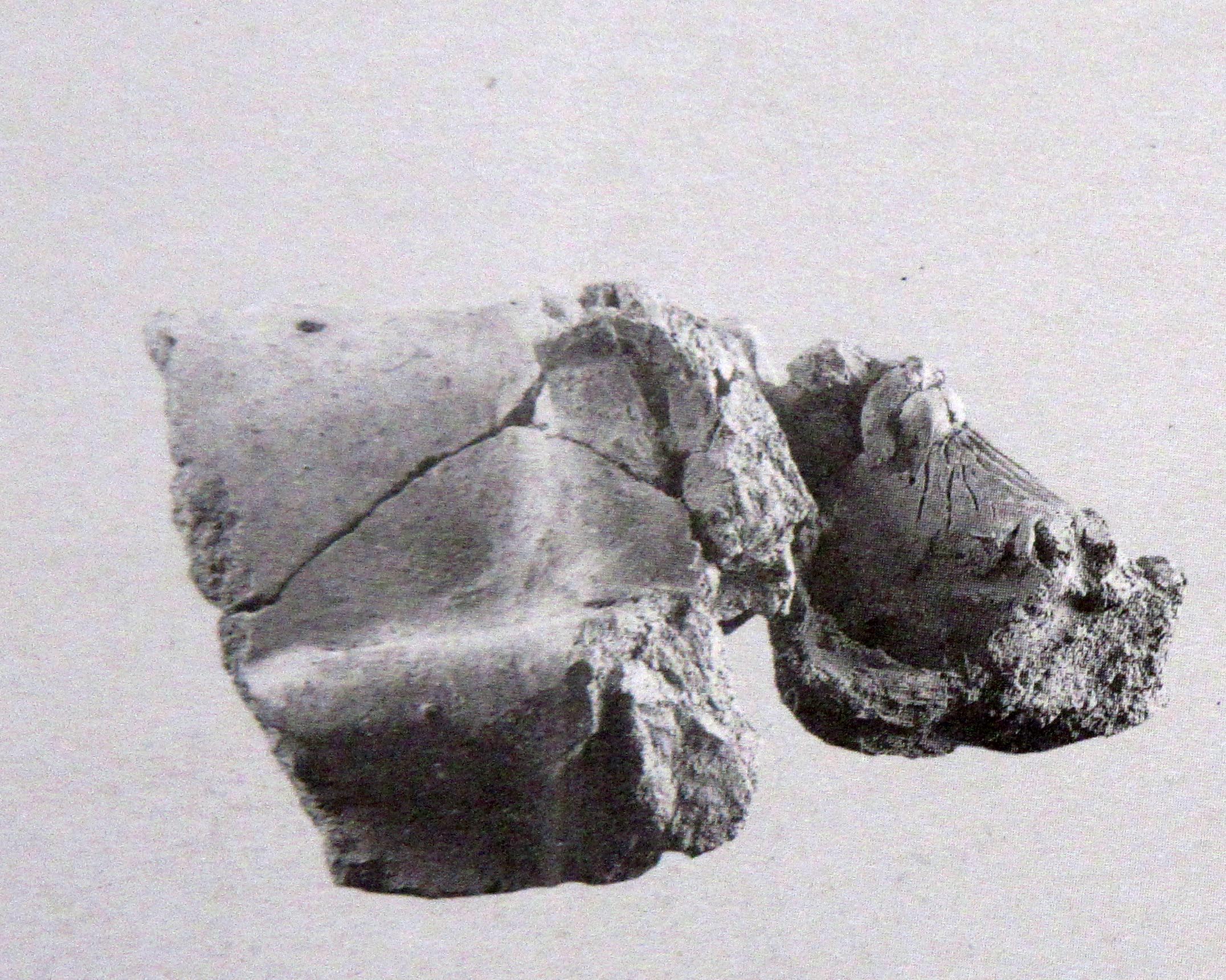 statua/ frontonale, piede (metà II a.C)