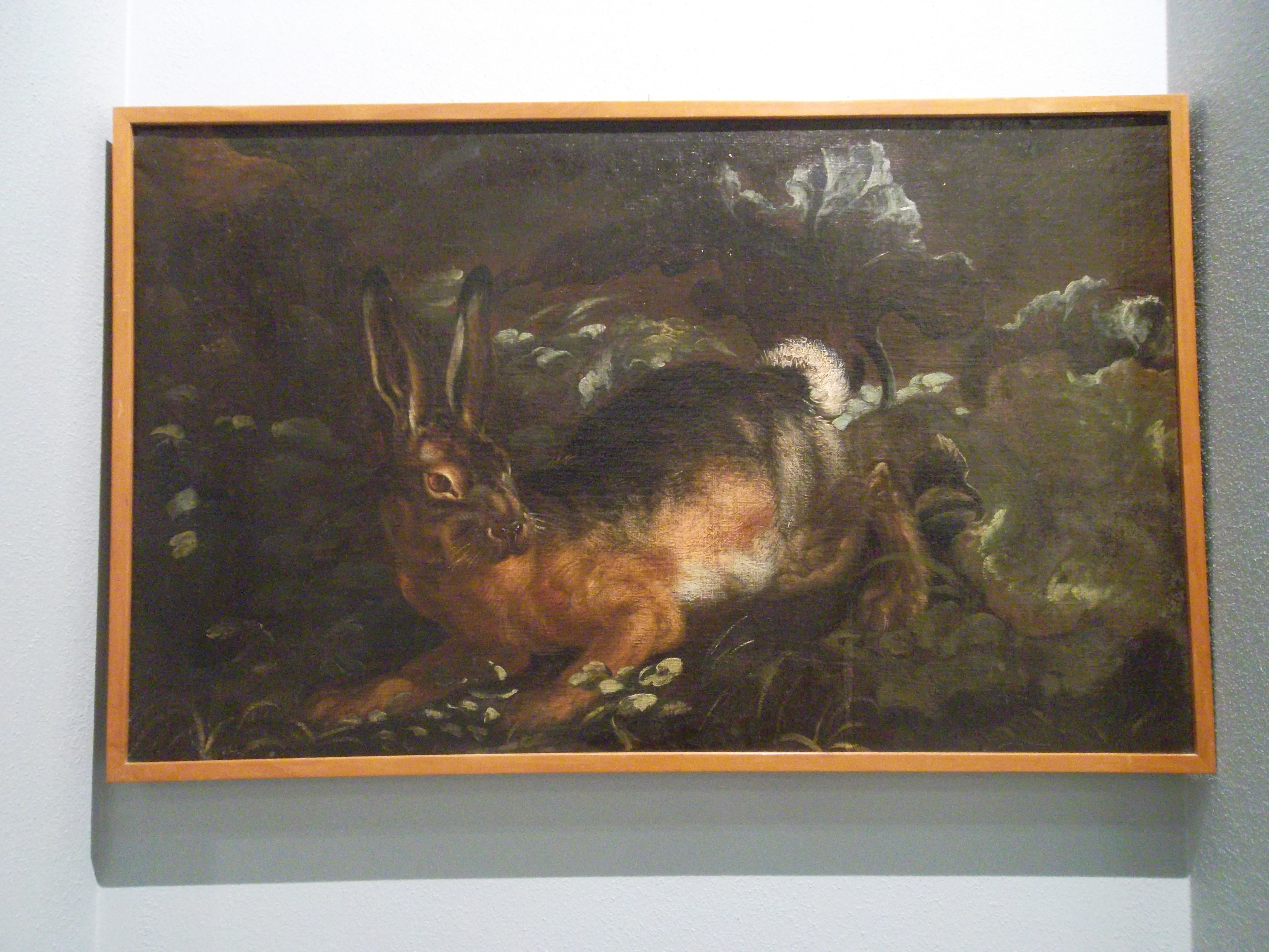 una lepre (dipinto) di Ruthart Carl Borromaus Andreas (ultimo quarto sec. XVII)