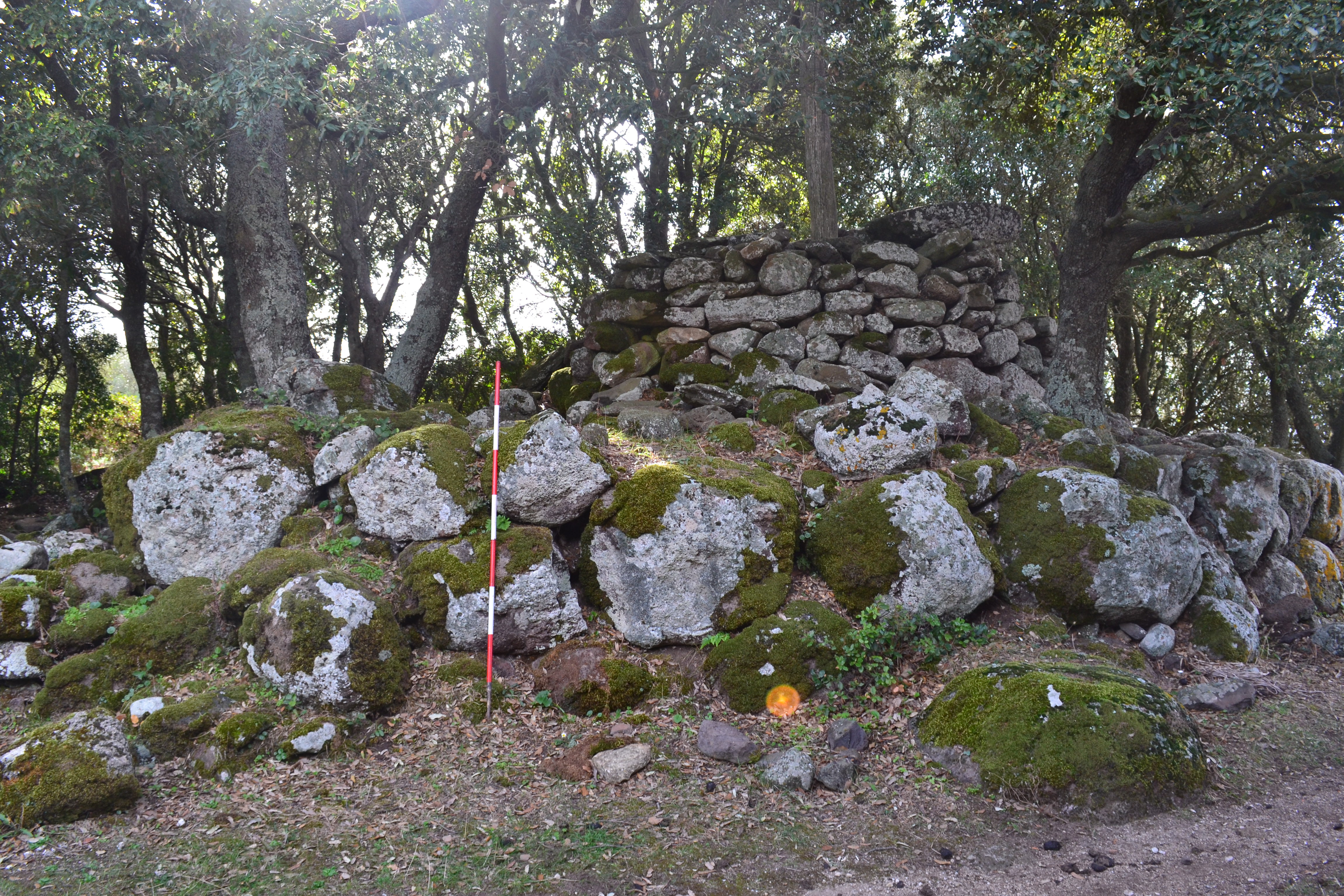 Nuraghe santa luisa o santa elisabetta (nuraghe, monumento)
