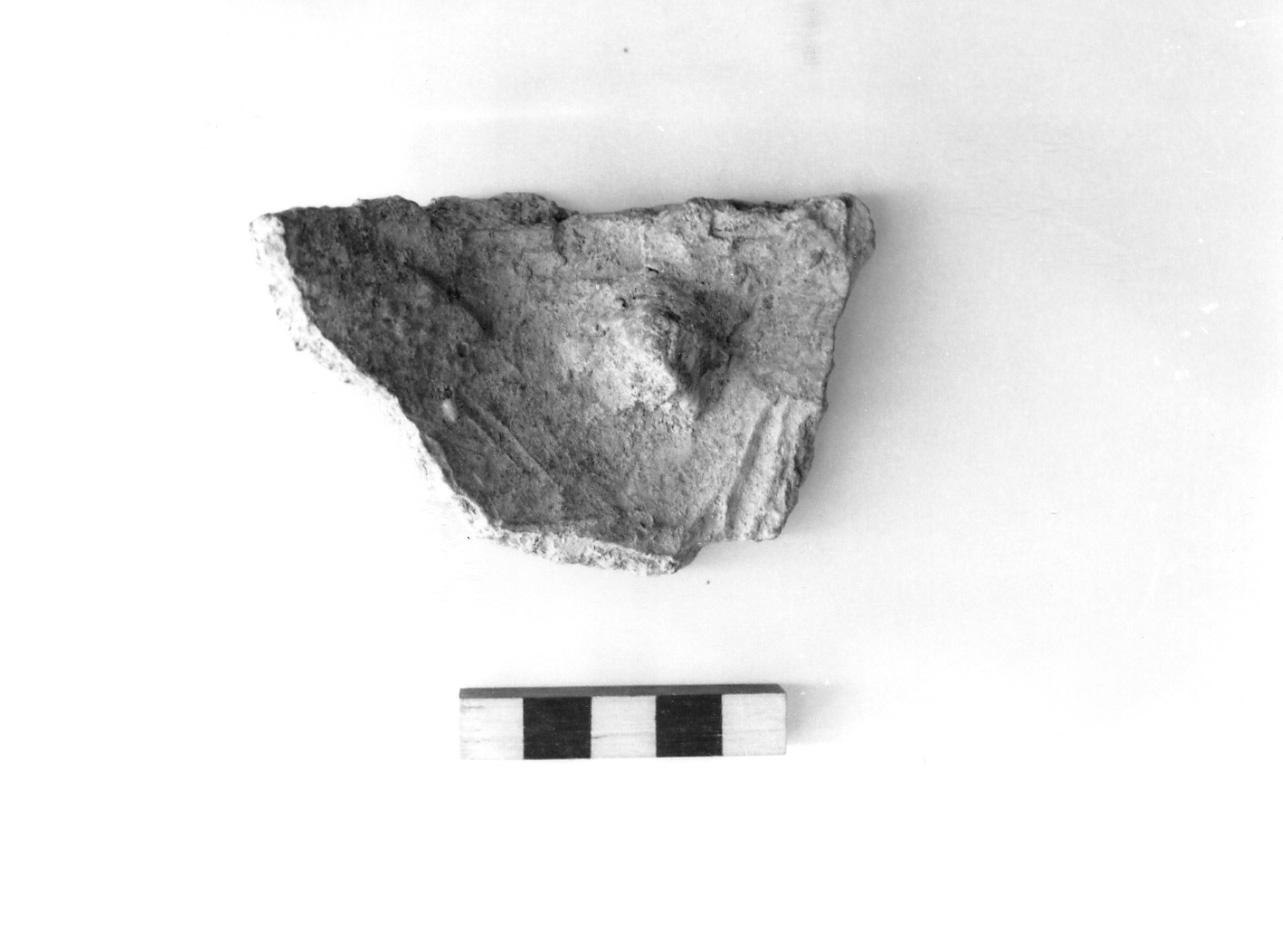 fondo piatto - civiltà protovillanoviana/ età del bronzo finale (sec. X a.C)