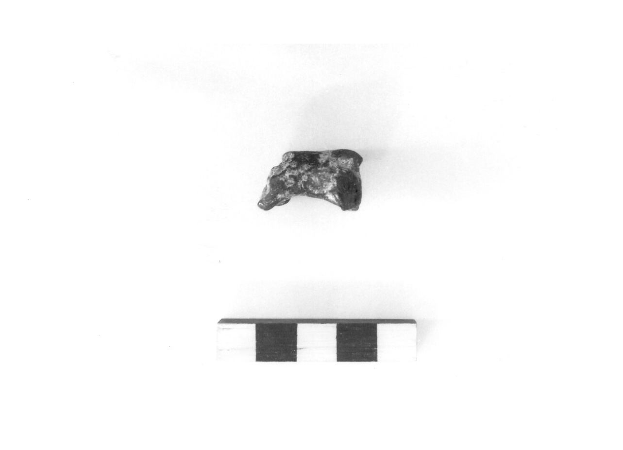quadrupede (figurina fittile) - civiltà protovillanoviana/ età del bronzo finale (sec. X a.C)