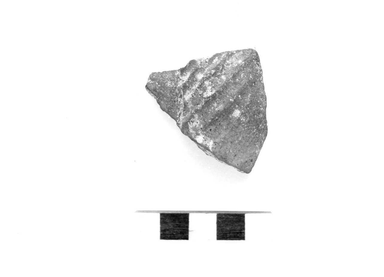 parete di tazza - civiltà protovillanoviana/ età del bronzo finale (sec. X a.C)