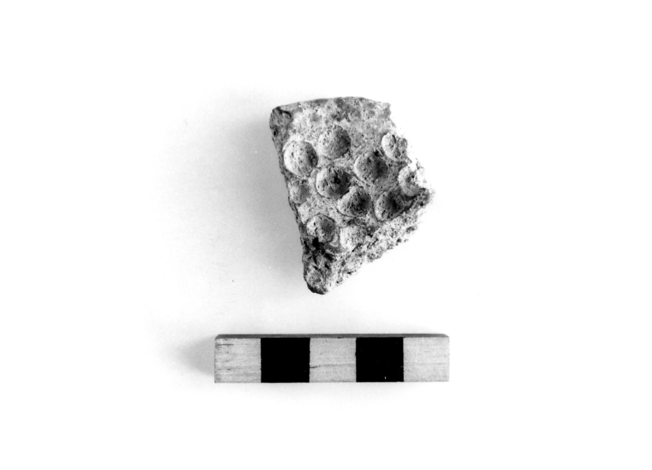 scodella ad orlo rientrante - civiltà protovillanoviana/ età del bronzo finale (sec. X a.C)