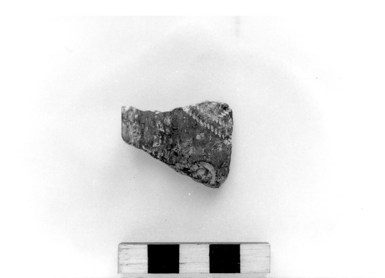 scodella carenata - civiltà protovillanoviana/ età del bronzo finale (sec. X a.C)