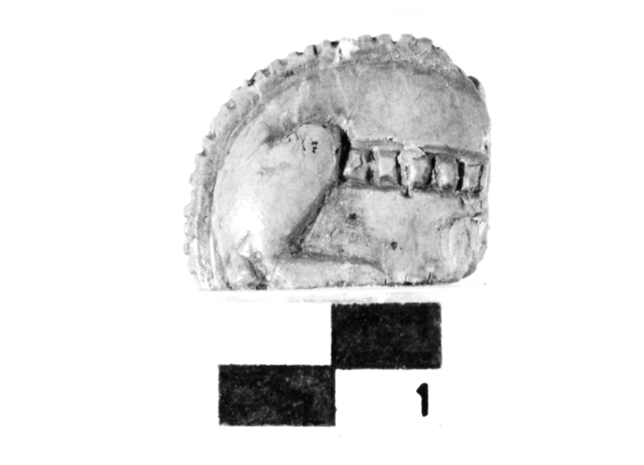 lamina - fase Piceno IV A (primo quarto sec. VI a.C)