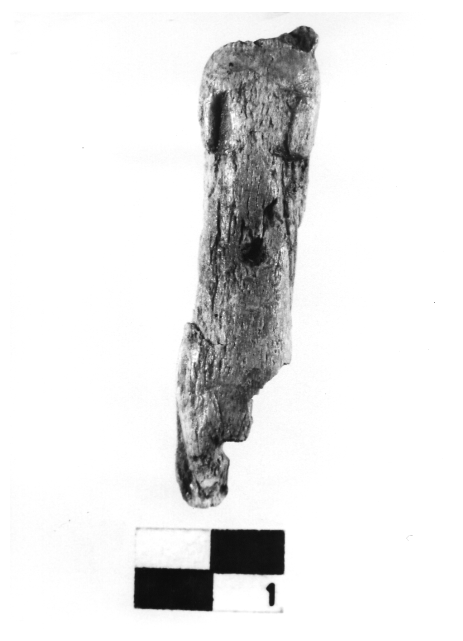 statuetta - fase Piceno IV A (primo quarto sec. VI a.C)