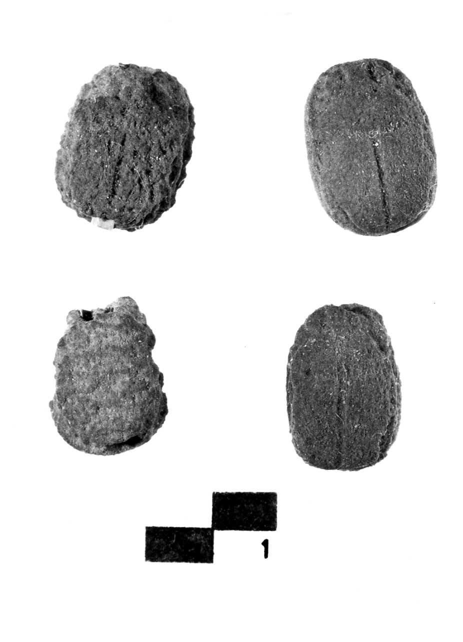 fayence (scarabeo) - fase Piceno IV A (primo quarto sec. VI a.C)