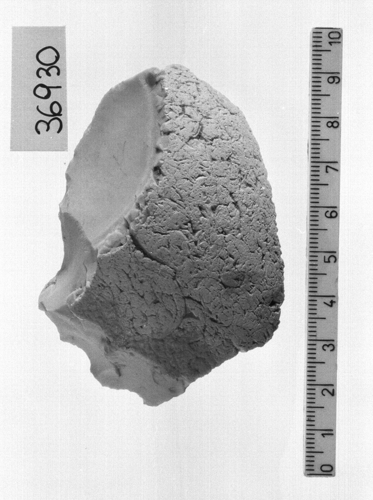 raschiatoio denticolato (Paleolitico medio)