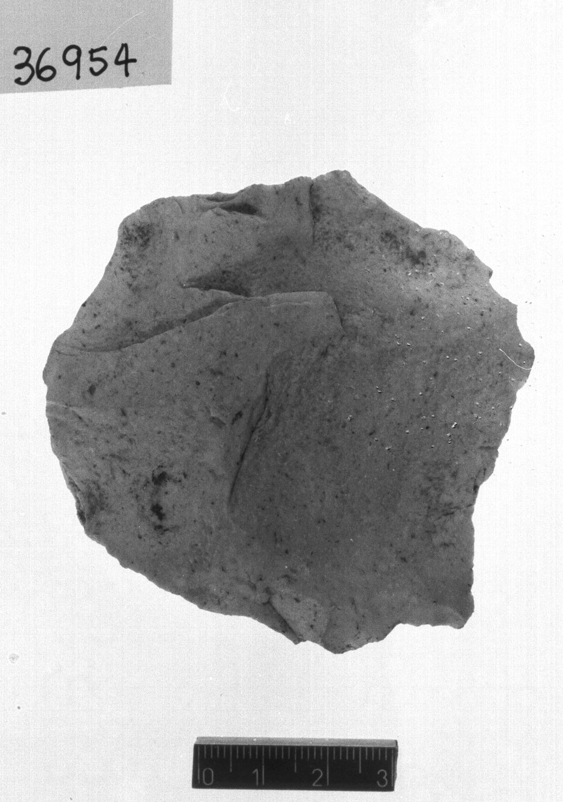 nucleo levallois (Paleolitico medio)