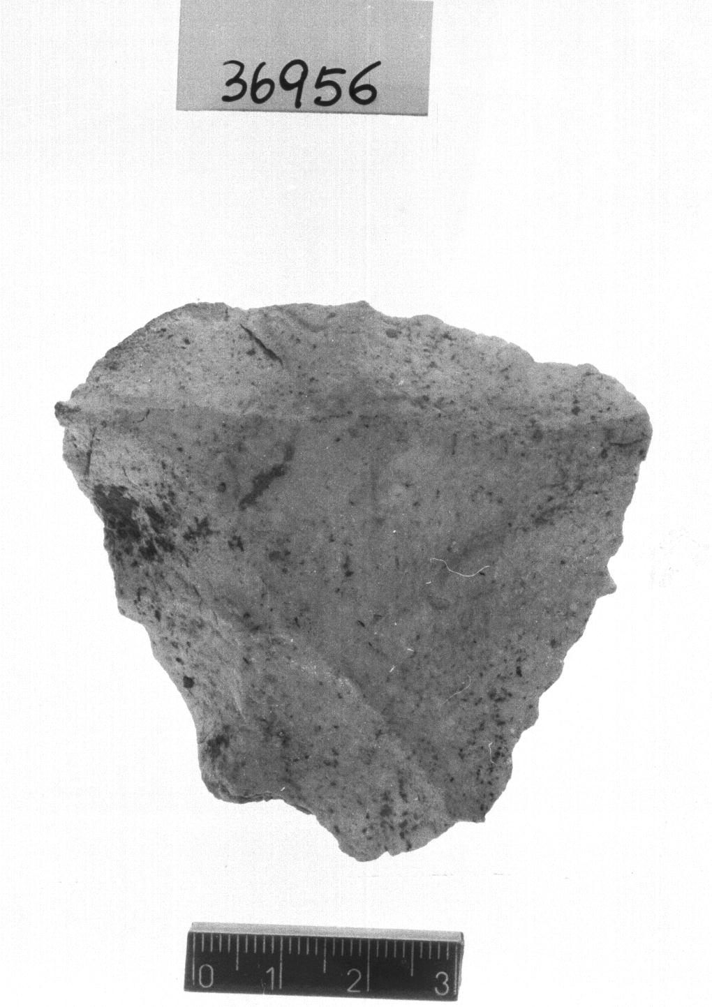 nucleo levallois (Paleolitico medio)