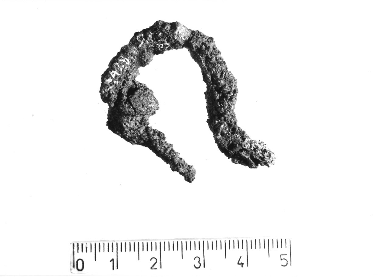 fibula ad arco con duplice ondulazione/ frammento - Piceno VI (secc. IV-III a.C)