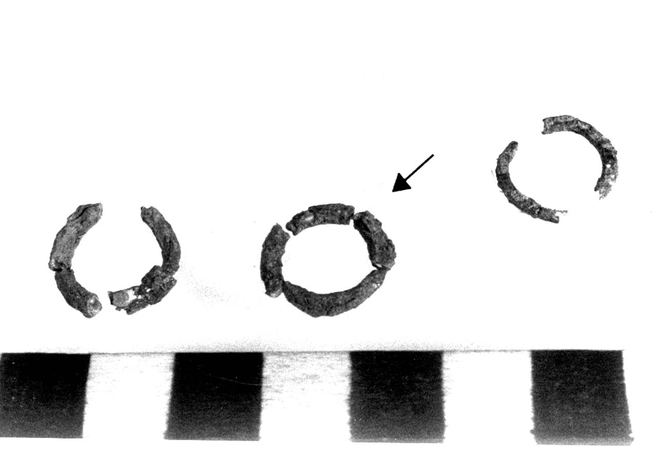 anellino - fase Piceno II (sec. IX a.C)