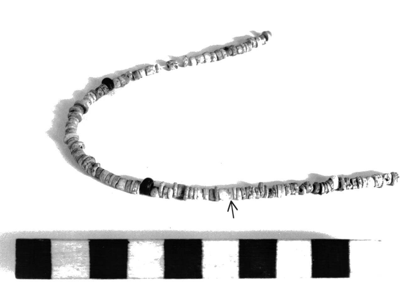 vago - fase Piceno II (sec. VIII a.C)