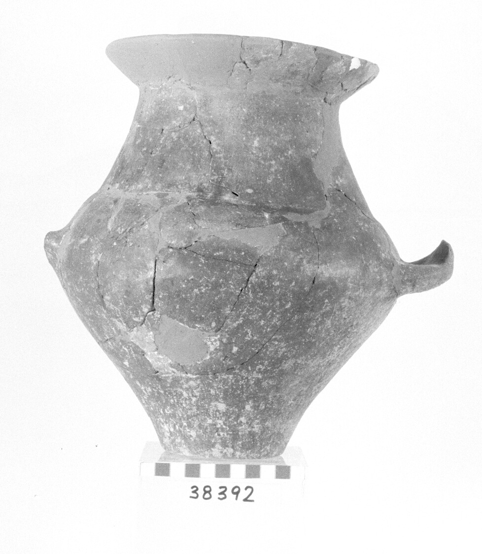 urna biconica - Piceno I-II (secc. IX-VIII a.C)
