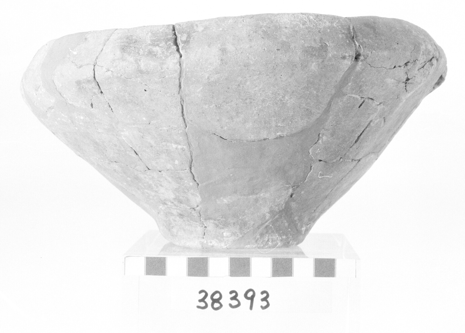 ciotola-coperchio - Piceno I-II (secc. IX-VIII a.C)