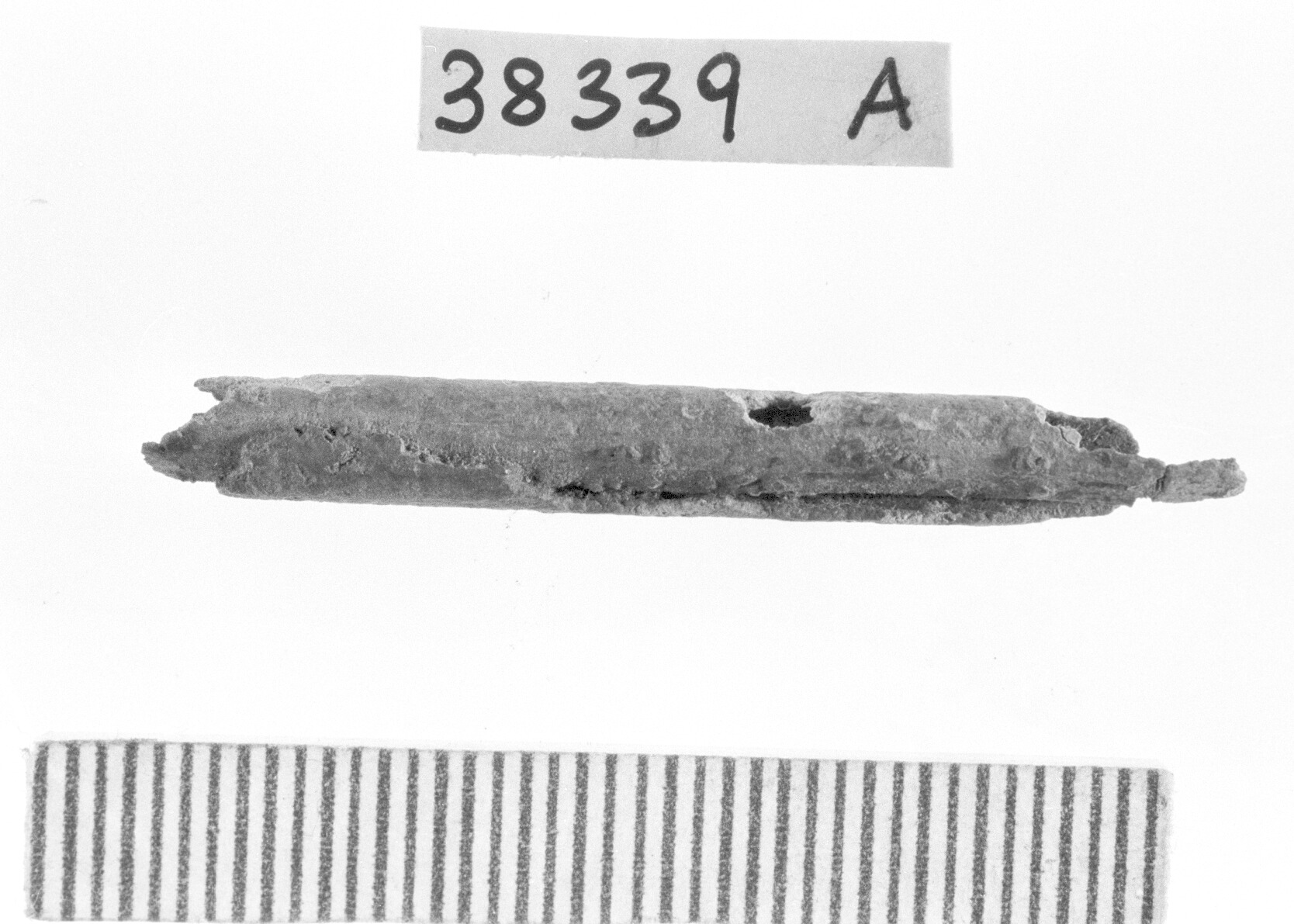 elemento cilindrico in lamina di bronzo/ frammento - Piceno I-II (secc. IX-VIII a.C)