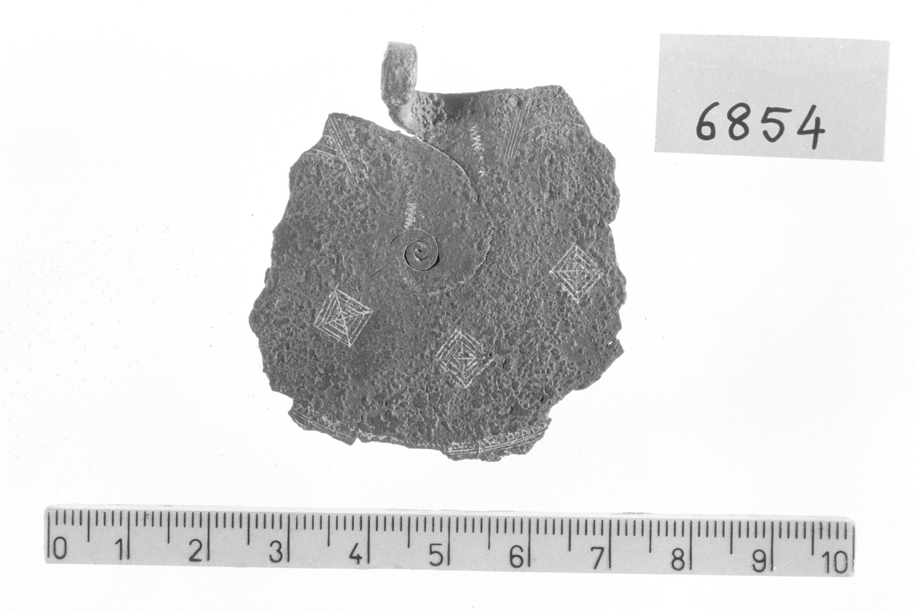 staffa a disco di fibula - Piceno I-II (secc. IX-VIII a.C)