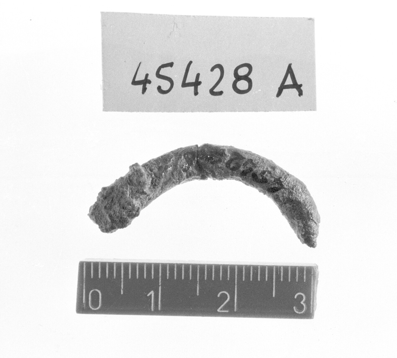 frammento non id - Piceno I-II (secc. IX-VIII a.C)